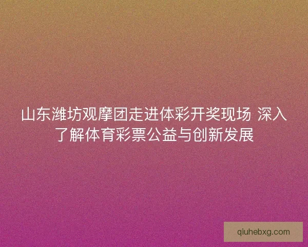 山东潍坊观摩团走进体彩开奖现场 深入了解体育彩票公益与创新发展