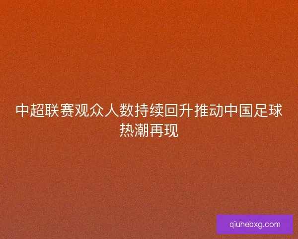 中超联赛观众人数持续回升推动中国足球热潮再现