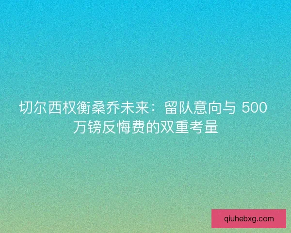 切尔西权衡桑乔未来：留队意向与 500 万镑反悔费的双重考量